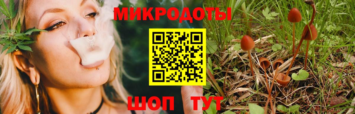 Нижний Новгород  Псилоцибиновые грибы мицелий  Вход с VPN 
